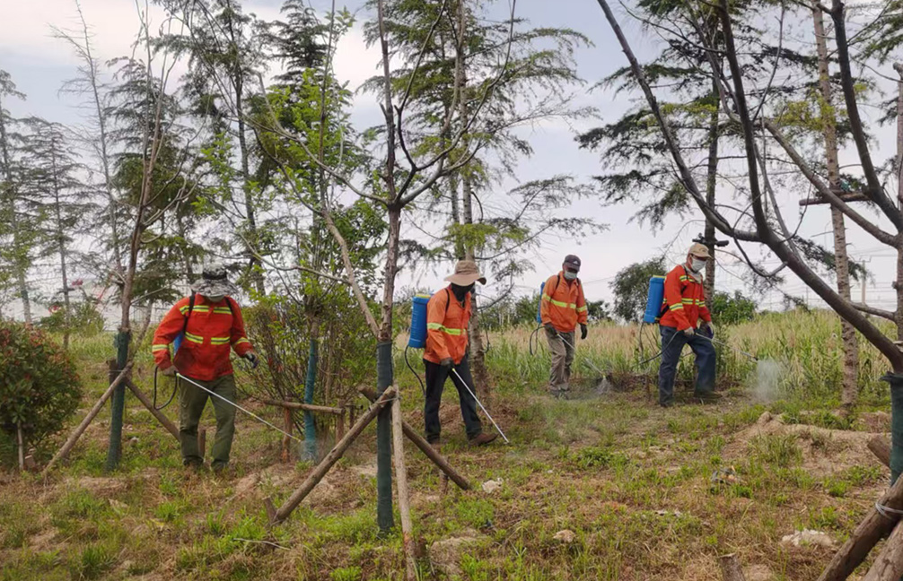 d92e8d4f8ce8ffee193fe73ef34487da