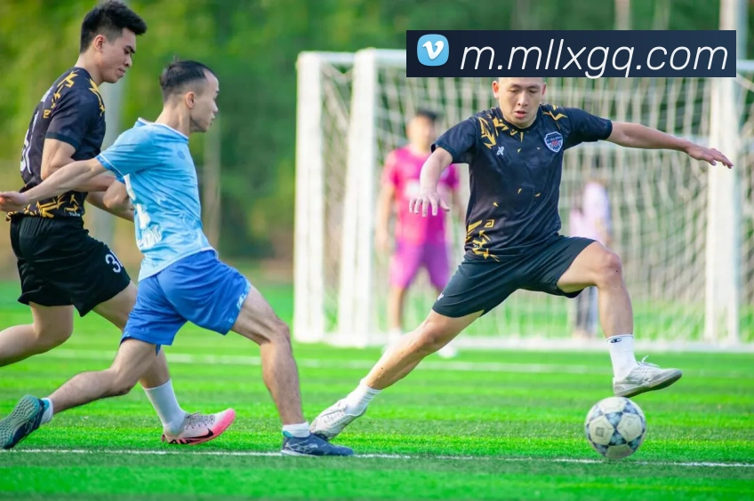 米兰milan官网APP 封面图